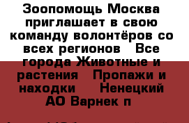 Зоопомощь.Москва приглашает в свою команду волонтёров со всех регионов - Все города Животные и растения » Пропажи и находки   . Ненецкий АО,Варнек п.